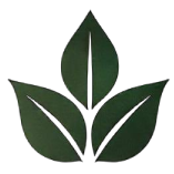 NutriVana Logo